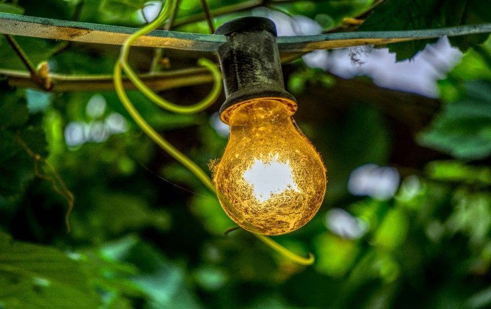 Vintage-Lichterkette im Baum